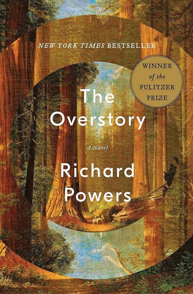 TheOverstory